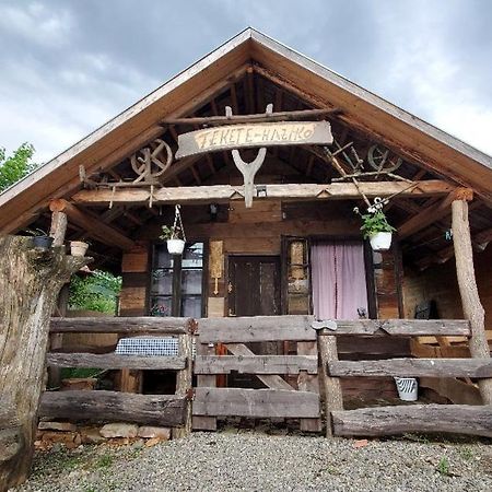 Casa Rustic Feher & Fekete Vendeghazak Sovata Εξωτερικό φωτογραφία