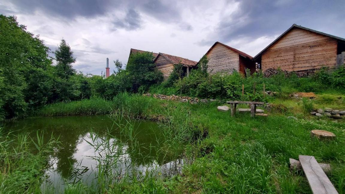 Casa Rustic Feher & Fekete Vendeghazak Sovata Εξωτερικό φωτογραφία